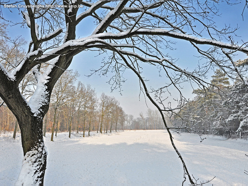 Winter in Lommel Enkele foto's van winterse landschappen in mijn thuisstad Lommel. Stefan Cruysberghs